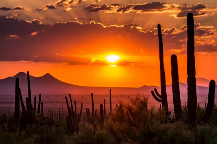 The sunset in the Sonoran Desert of Arizona