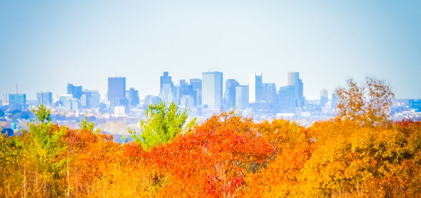 the boston skyline from blue hills reservation with autumn trees