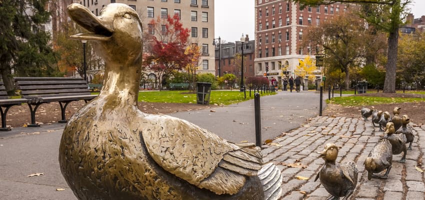 duck sculptures at the boston public garden