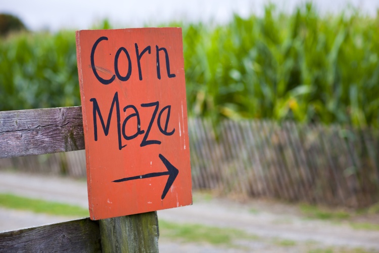 Corn maze sign