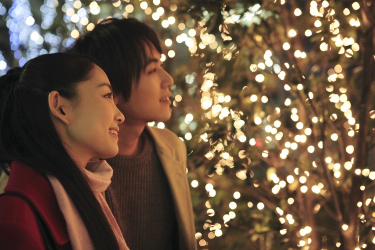 Couple looking at Christmas trees