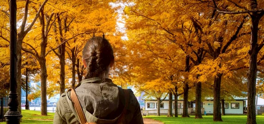 Woman walking past fall trees