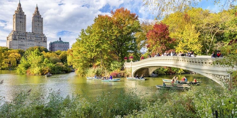 groups of visitors cross a bridge in central park in new york city