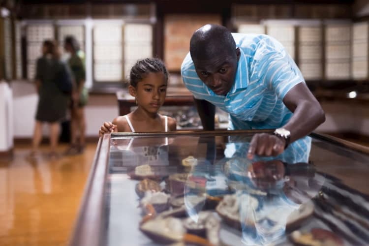 A man and his daughter are staring at a museum exhibit