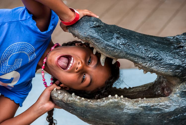Alligator farm Miami Everglades girl puts head in crocodile mouth