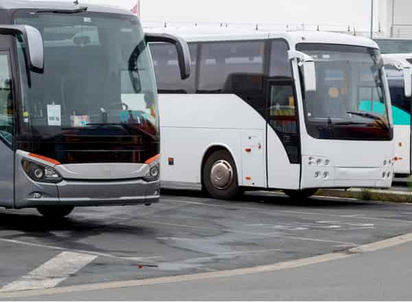 charter buses parked together in new orleans