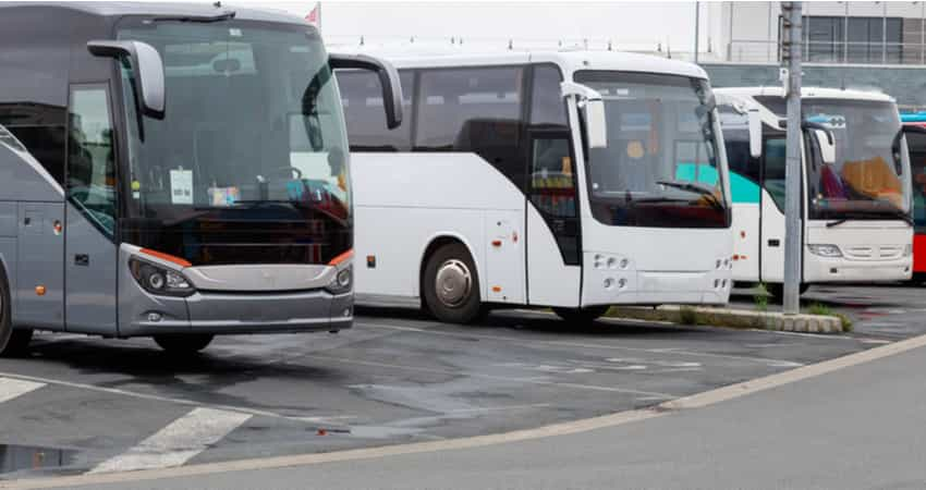 Charter buses parked together in a lot