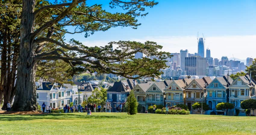 A sunny day in Alamo Park, with the Painted Ladies visible across the street