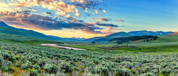 Lamar Valley at Yellowstone National Park