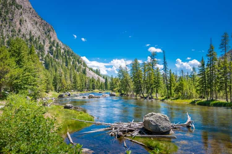 A panoramic view of Yellowstone National Park