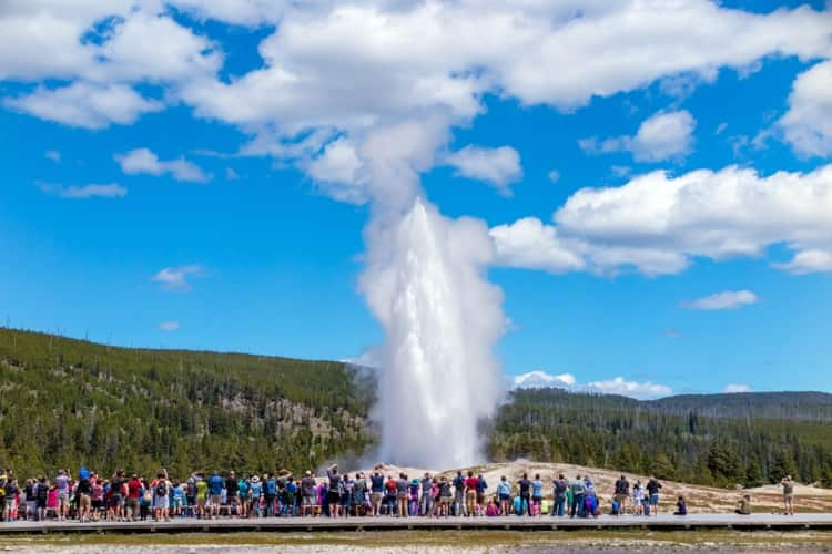 The Old Faithful Geyser at Yellowstone National Park