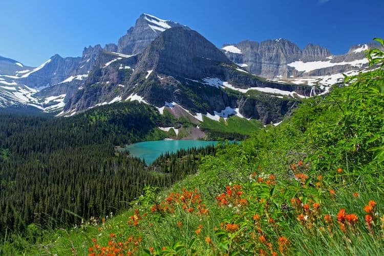 Lake and meadow in Glacier National Park