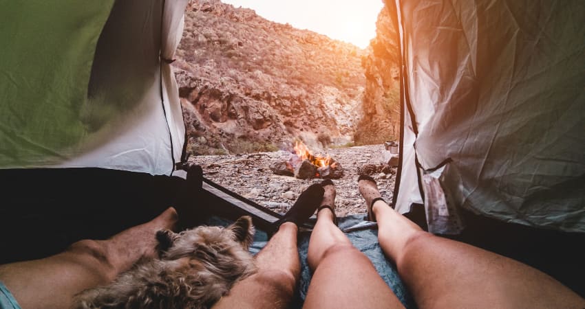 Two campers and a small dog relax in a tent, a small campfire visible through the doors of the tent