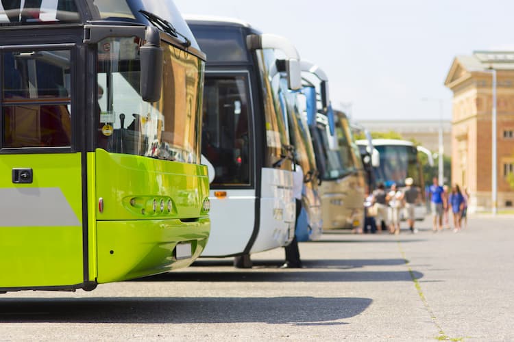 Colorful charter buses parked in a row