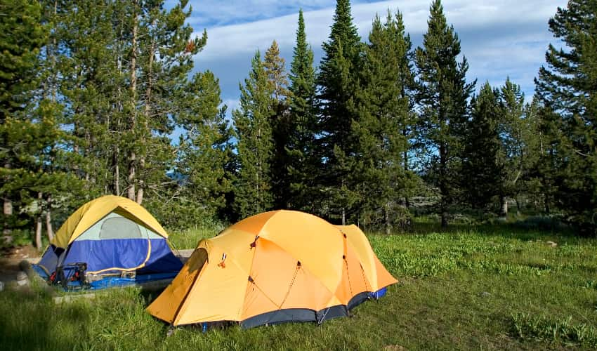 Two yellow tents sit in a green clearing in a forested terrain