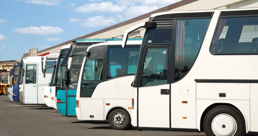 A line of charter buses parked at a lot