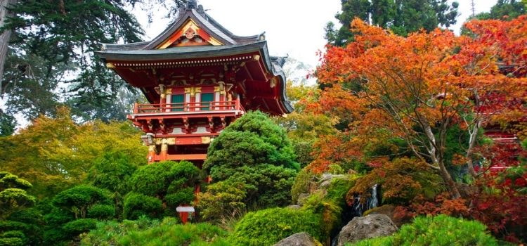 Japanese Tea Garden at Golden Gate Park, San Francisco