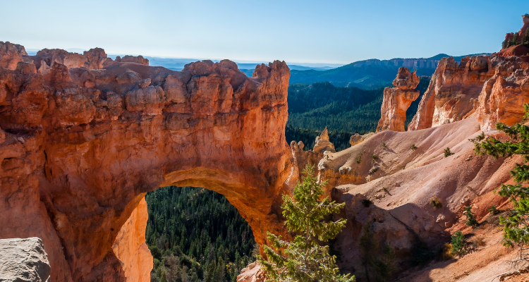 bryce canyon national park bus rentals