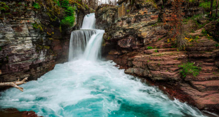 bus rentals to glacier national park