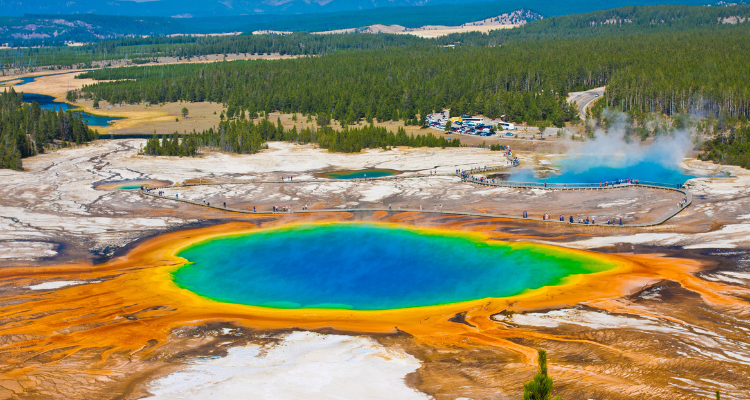 charter bus rentals yellowstone national park