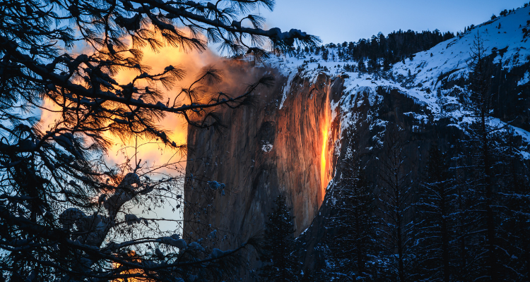 Yosemite national park charter buses