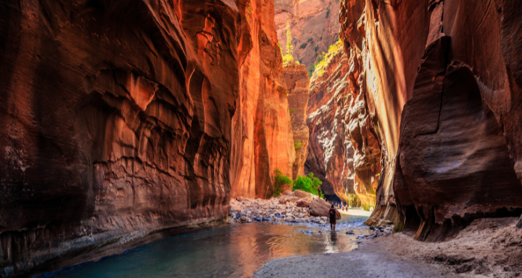 Zion national park bus rentals