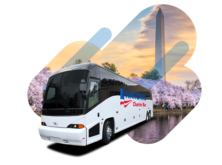 White charter bus with National Charter Bus logo over the Japanese cherry blossoms and Washington Monument