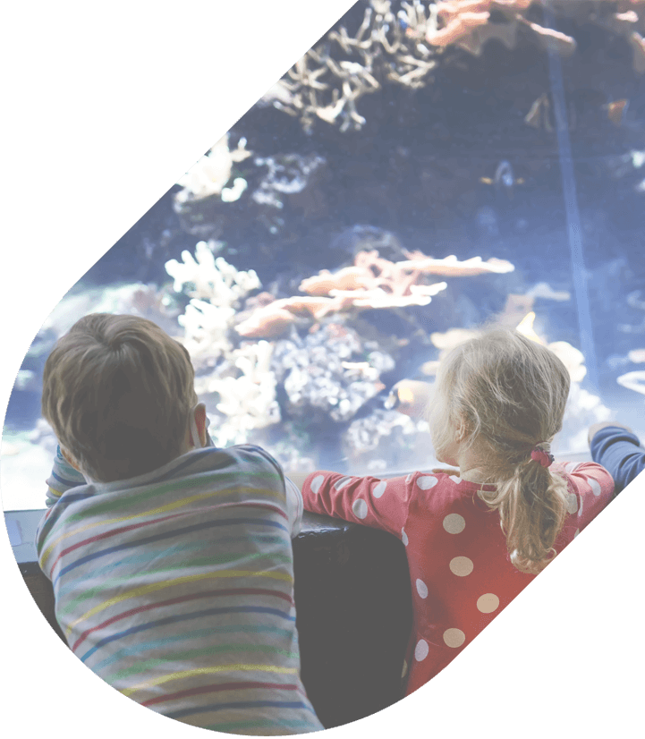 Children observe fish at the Georgia Aquarium