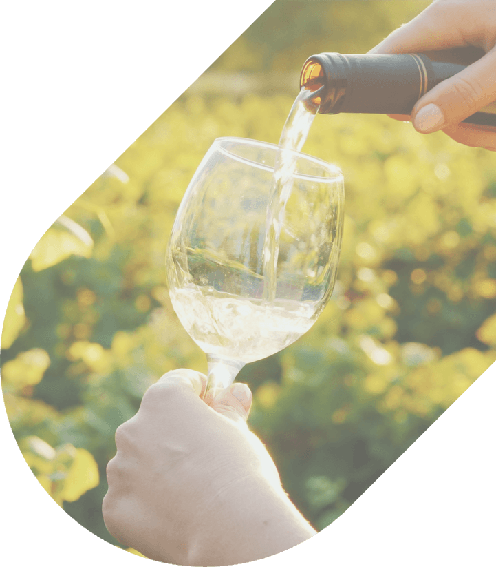 A hand pours white wine into a glass at a vineyard