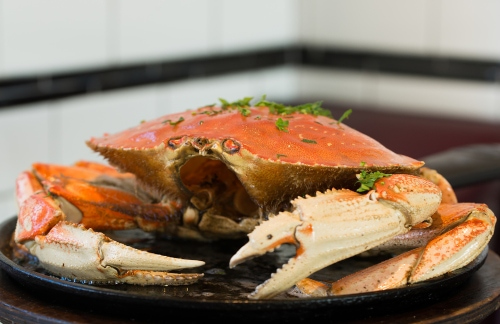A dinner platter with a whole crab