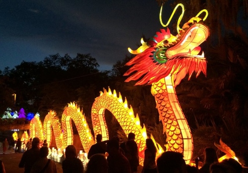Giant dragon decoration at Zoo Tampa festival