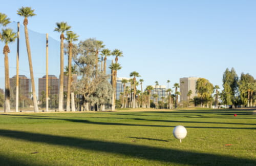 golf ball on a tee with palm trees in the background on a scottsdale golf course
