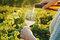 a hand pours white wine into a glass in a vineyard