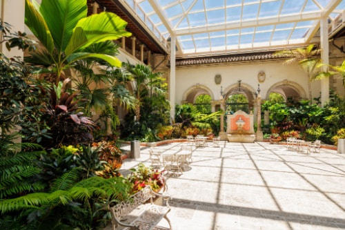 greenery in a spanish-style greenhouse at the vizcaya museum and gardens