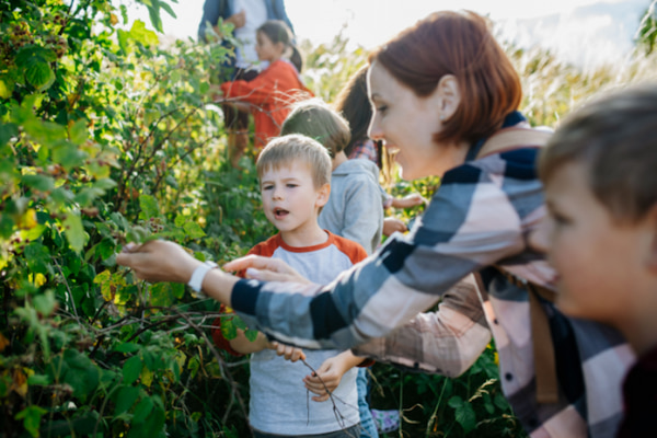 kids explore greenery outside on a field trip