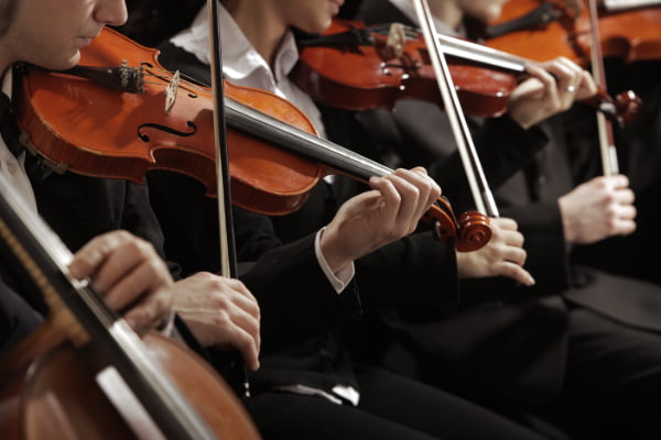 a lineup of violin players performing in an orchestra