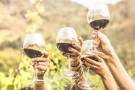 four wine glasses raised for a toast in a vineyard